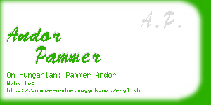 andor pammer business card